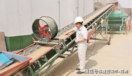 2020年河南省最低收购价粮食收购工作方案解析 为何粮食收购仍是核心环节？