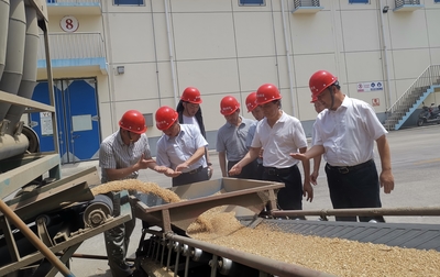 市发改委领导赴我区调研 筑牢夏粮收购安全网，稳抓安全生产促发展